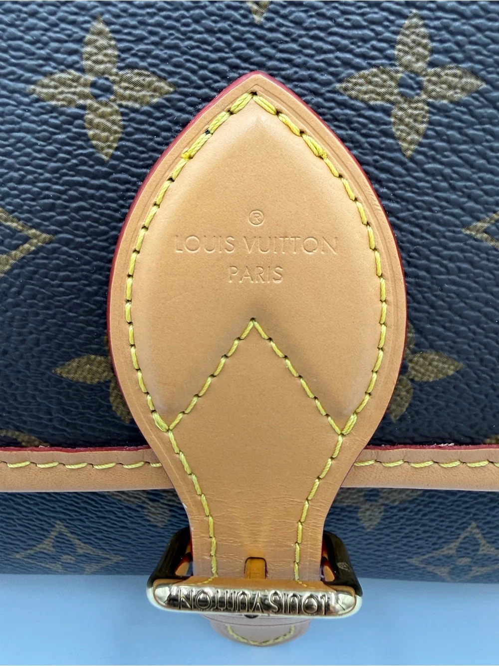 Louis Vuitton Diane Monogram Bag w/Shoulder and Crossbody Straps, Pristine